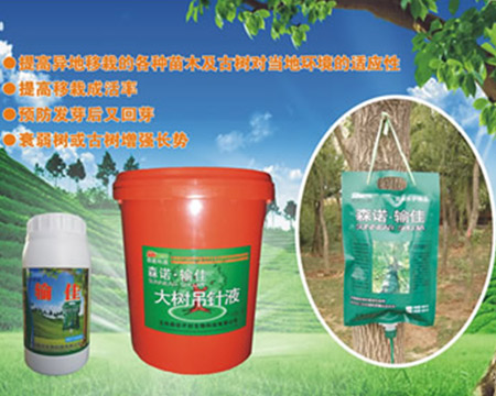 大樹(shù)吊針液